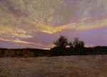 Jared Rawle